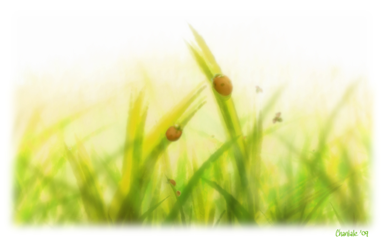 [Ladybugs.jpg]