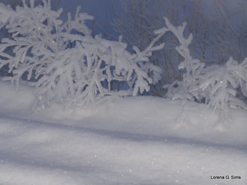[snow+5.JPG]