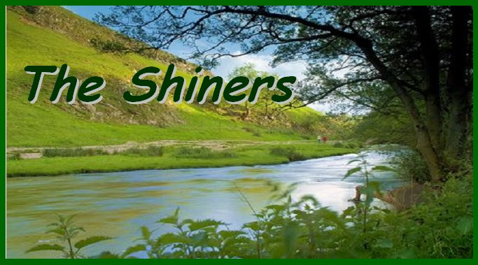 The Shiners