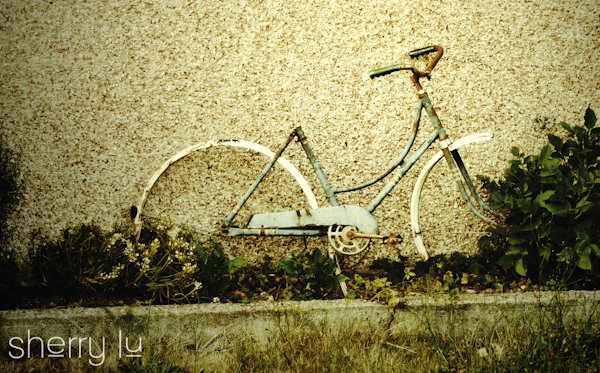 [Bicycle.jpg]