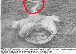 Canvey Island Monster