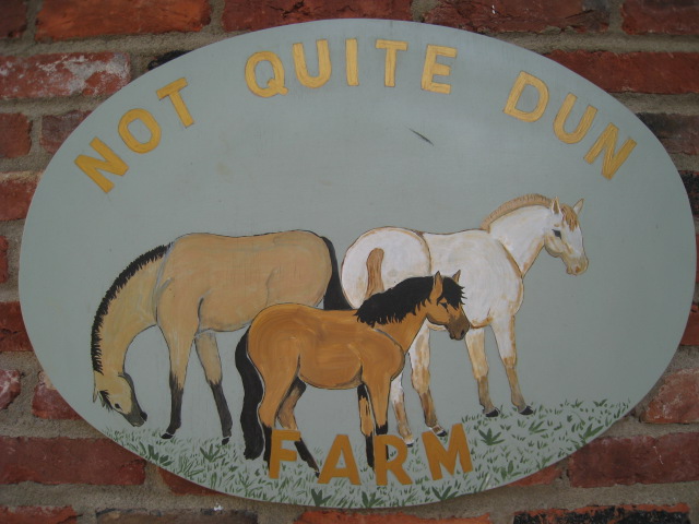 Not Quite Dun Farm, LLC