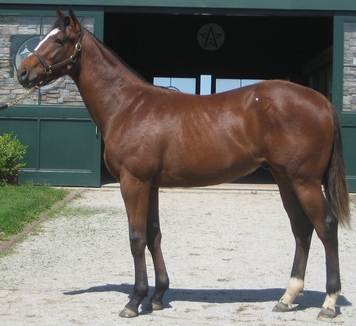 Winstar+farm+contest