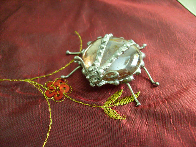 Vaquita de San Antonio ------------Cucurbit beetle