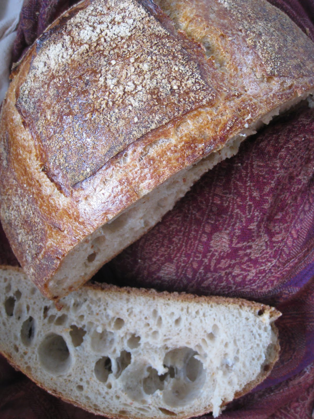 The Fox Fix "The Best Bread Ever" or "The Tartine Rustic Country Loaf"