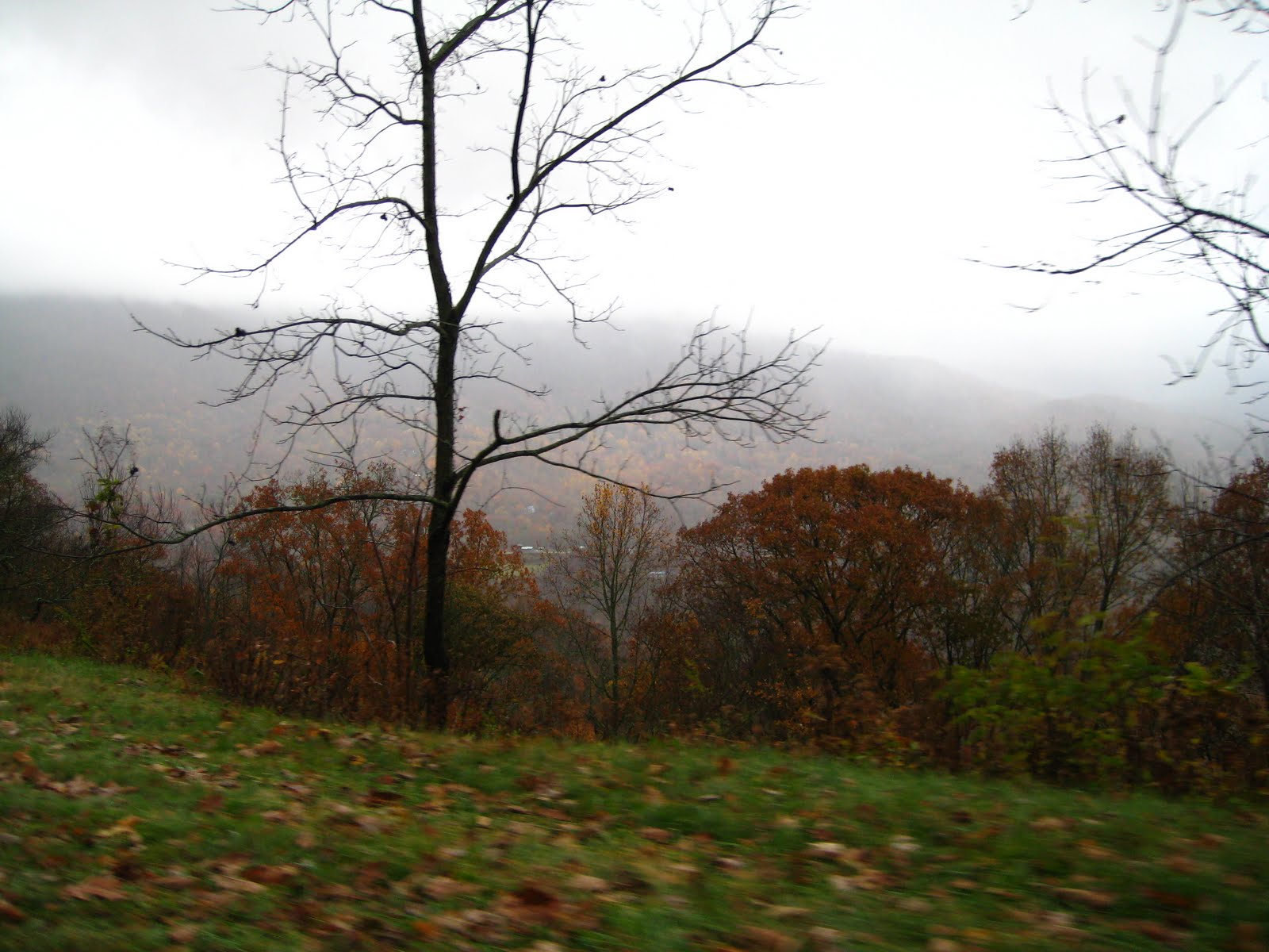 [IMG_2441.JPG]