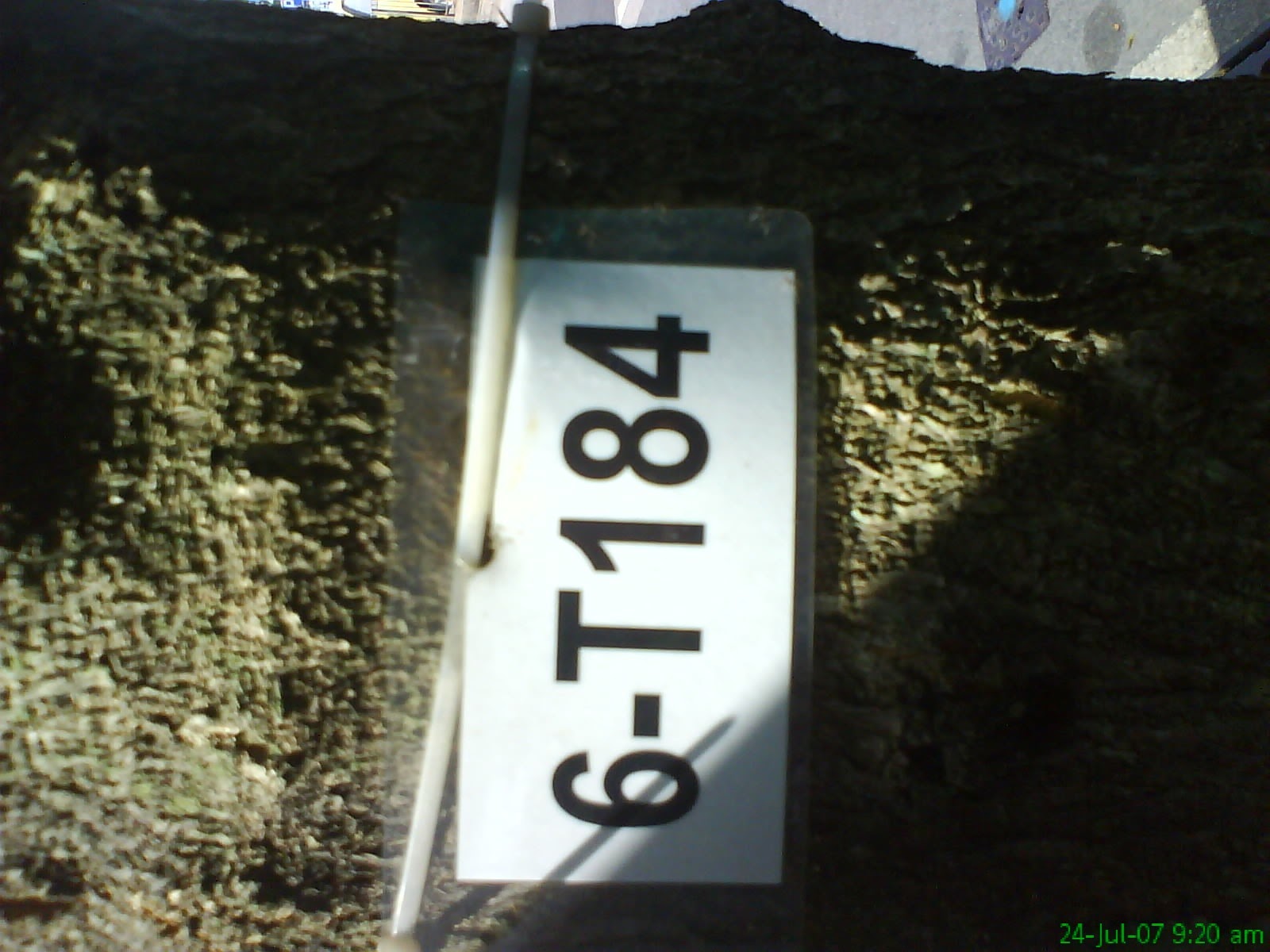 [DSC00092.JPG]
