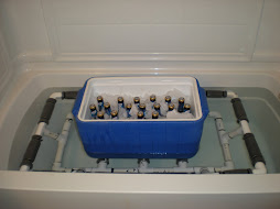 cooler raft