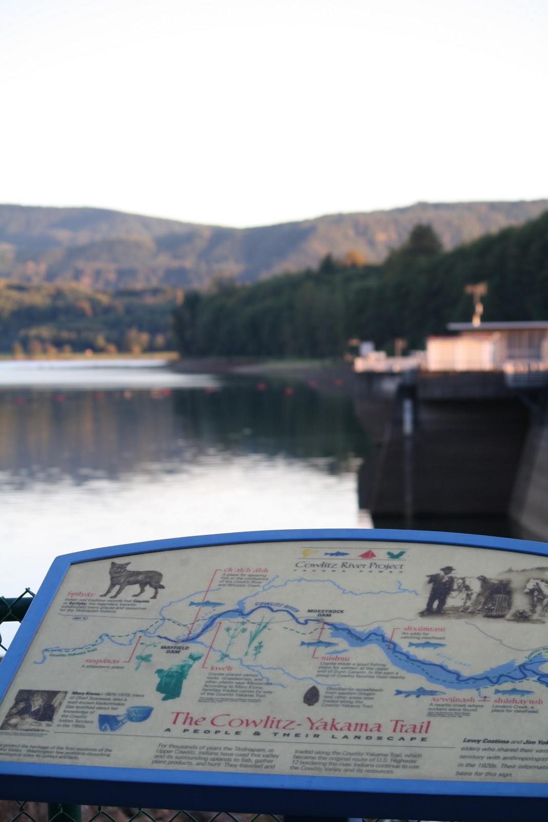 Travelers Barista Mossyrock Park Camping Power