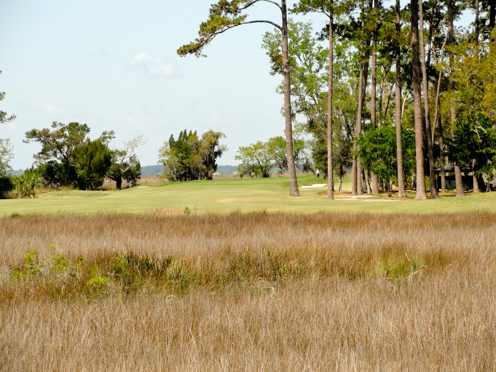 Georgia Golf Course
