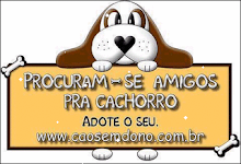 Cão Sem Dono