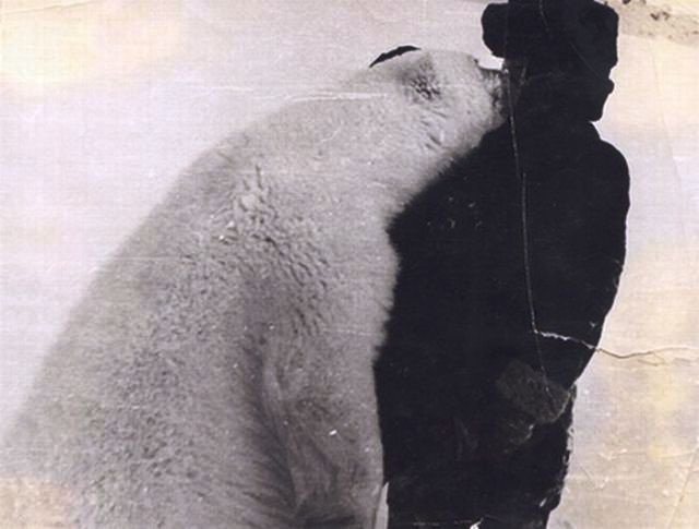 [polar_bears_10.jpg]