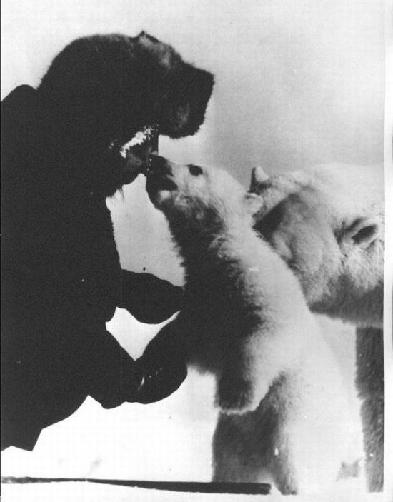 [polar_bears_03.jpg]