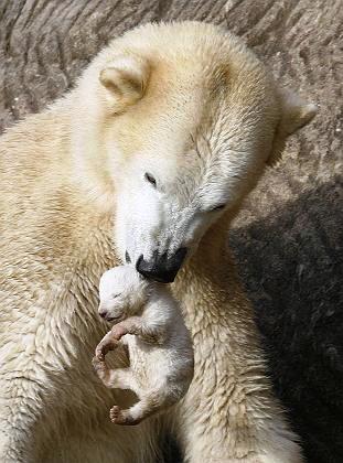 [Verapulledout4.jpg]