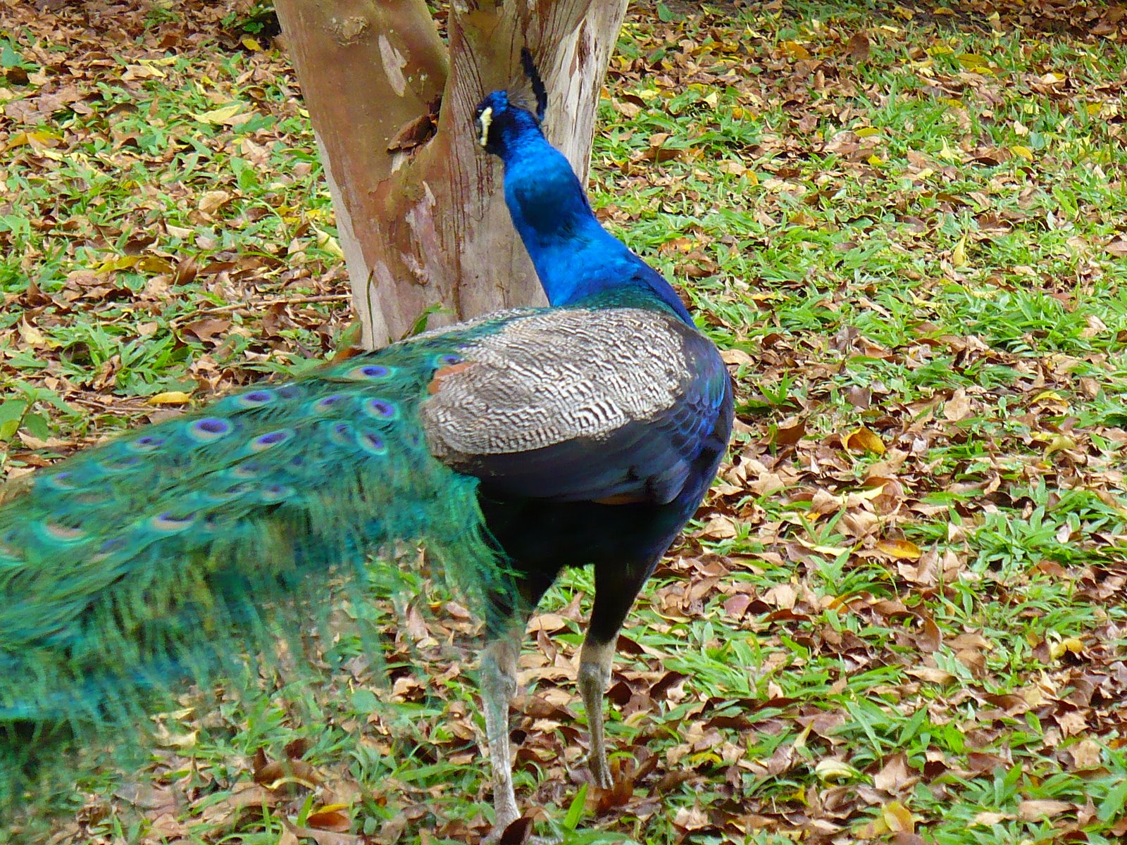 [17+Florianópolis+033.jpg]