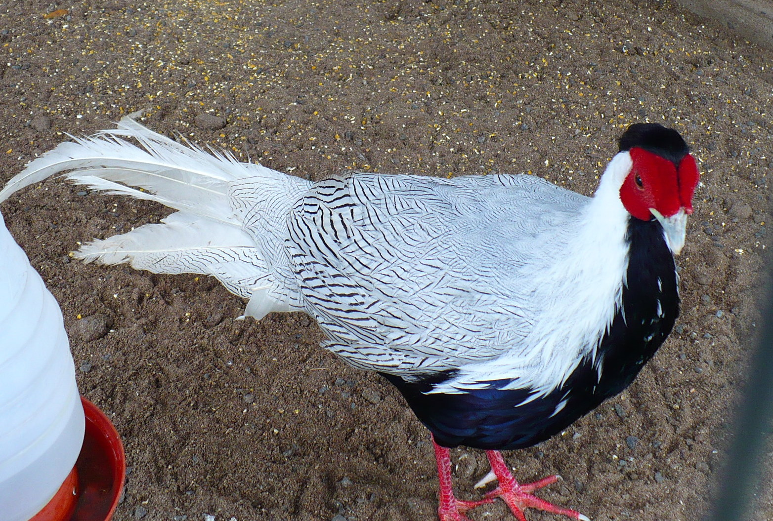 [17+Florianópolis+016.jpg]