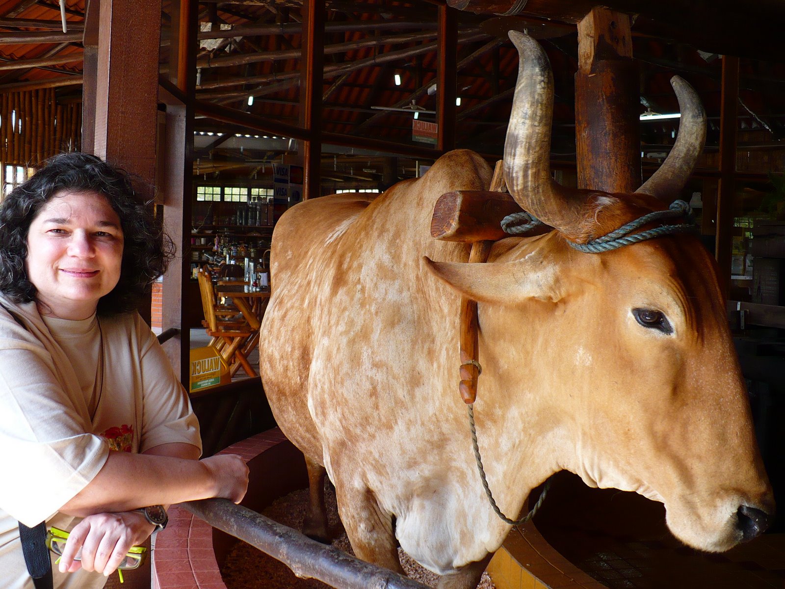 [17+Florianópolis+038.jpg]