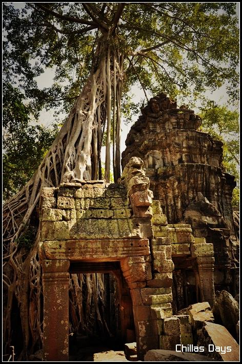 [nEO_IMG_DSC_0456-l.jpg]