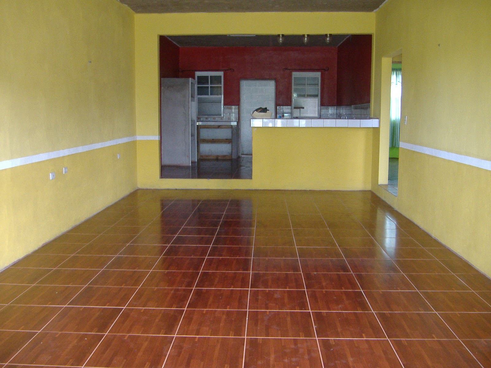 Platinum International Real Estate and Investments Belize Division