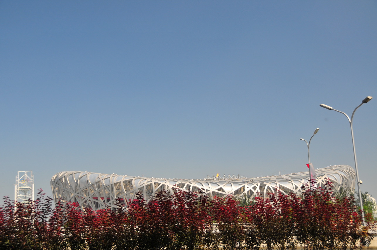 [DSC_1483_resize.JPG]