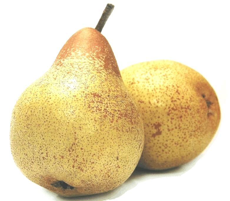 [_Pera_Rocha2_48ec734b4cbdb.JPG]