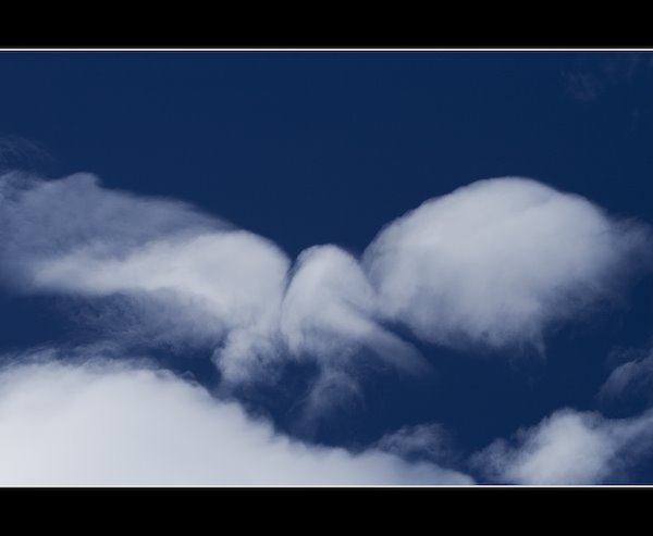 [IMG_20071206_1481.jpg]