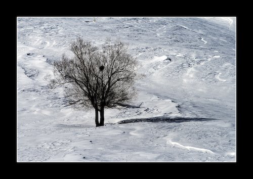 [IMG_20071227_1638.jpg]