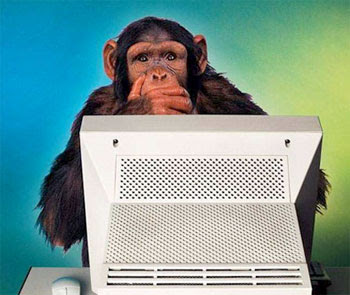 monkey bad blogger