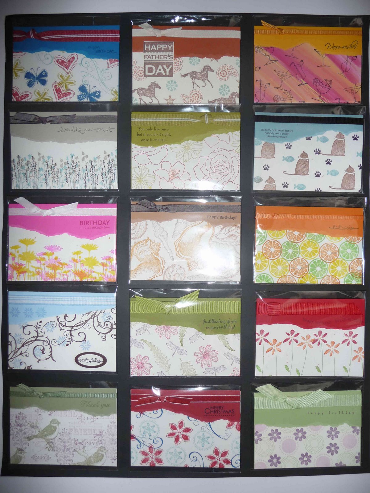 [Blogg_classP1010376.jpg]