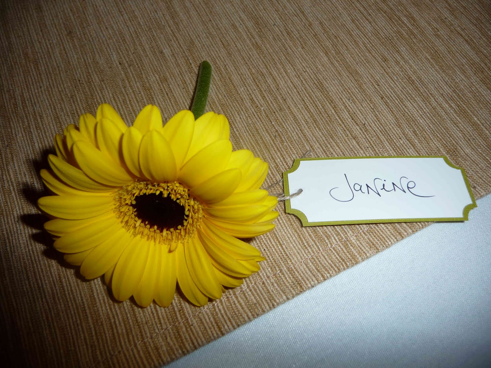 [Blogg_classP1010404.jpg]