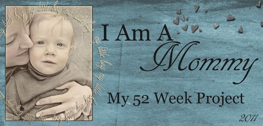 I Am A Mommy: My 52 Week Project 2011