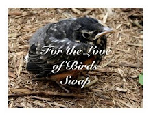 For the Love of Birds Swap