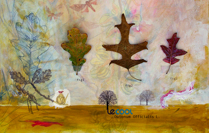 [lecool_Muchland.jpg]