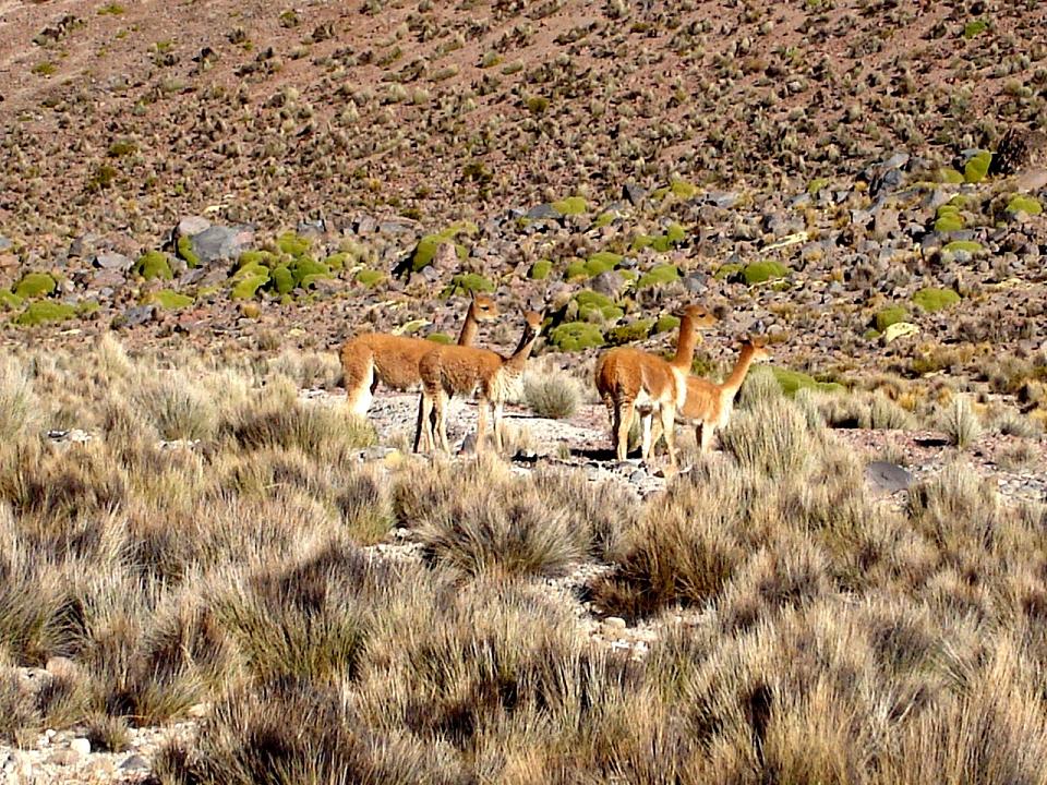 [DSC09992.JPG]