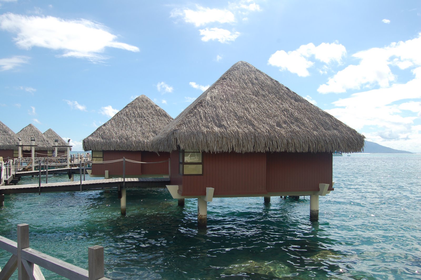 [DSC_1969.JPG]