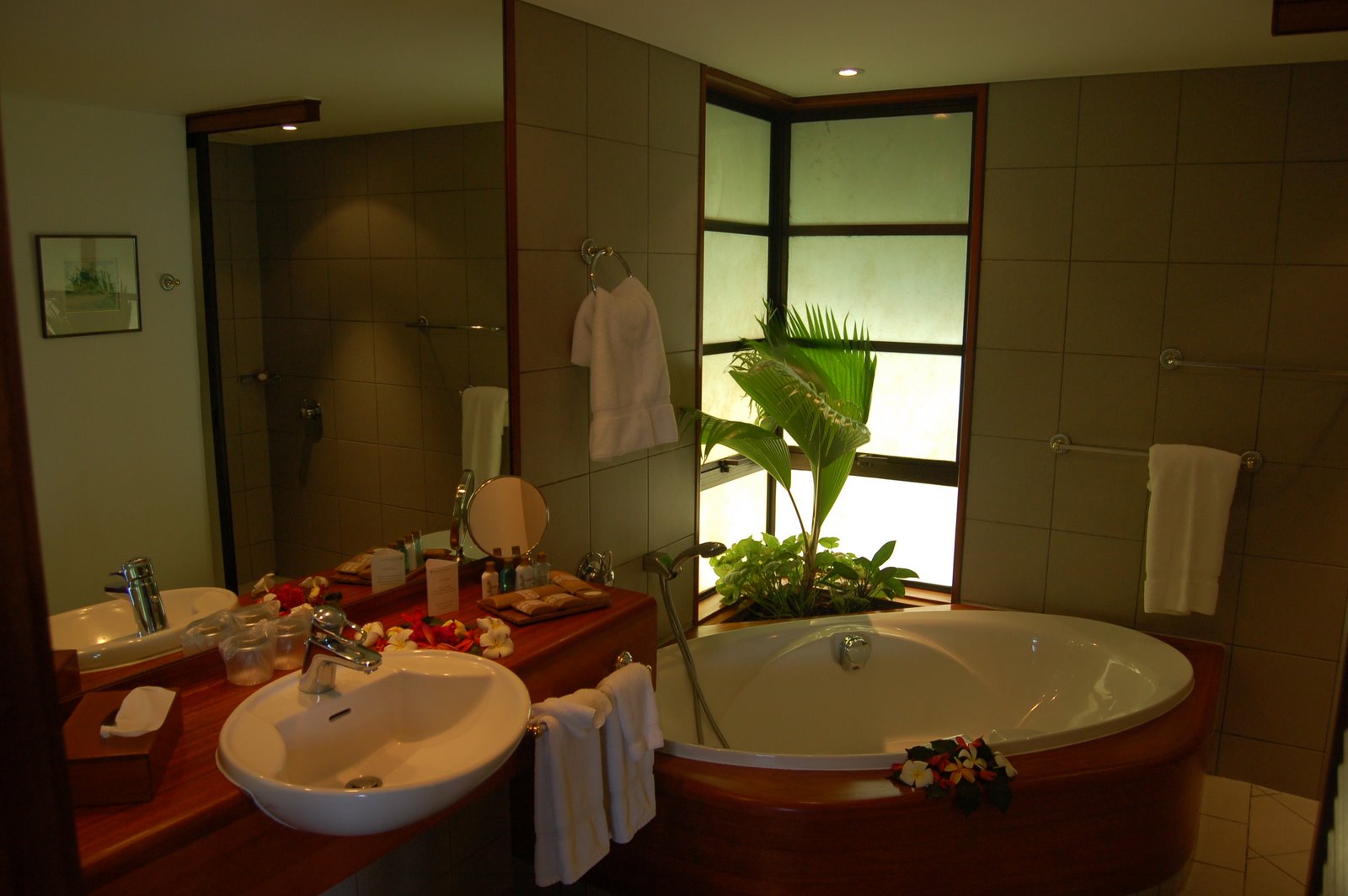 [DSC_1968.JPG]