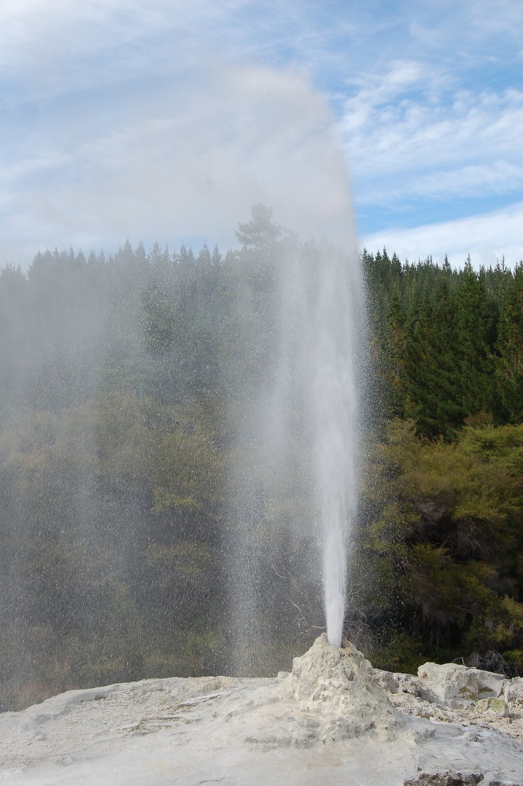 [DSC_0612.JPG]