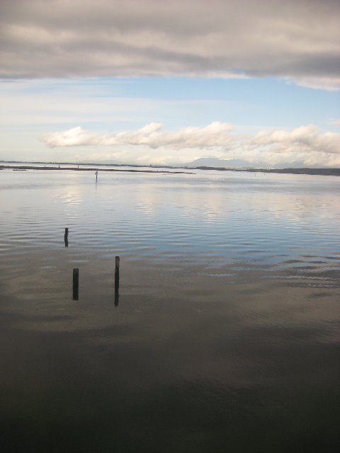 [view_from_amtrak_train.jpg]