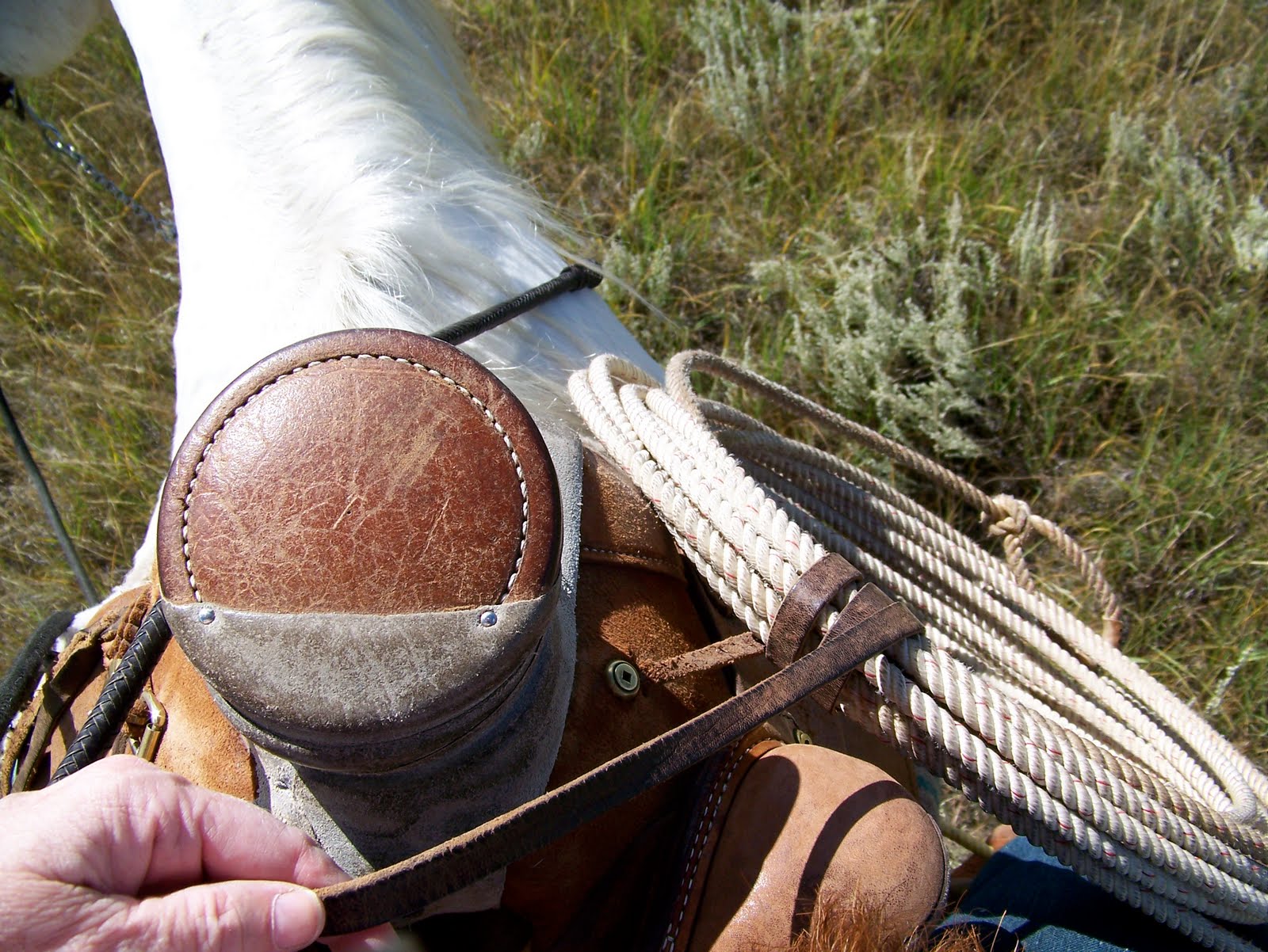 CowboyCoping Cowgirl My Rope
