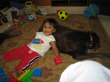 13 Months Old