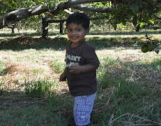 27 Months Old