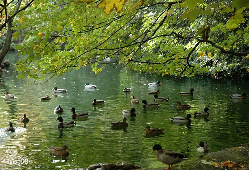 OCIO y CULTURA : Parque Campo Grande. Valladolid.