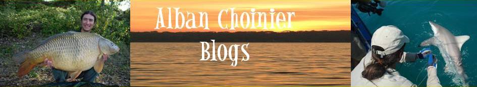 Alban Choinier Blogs