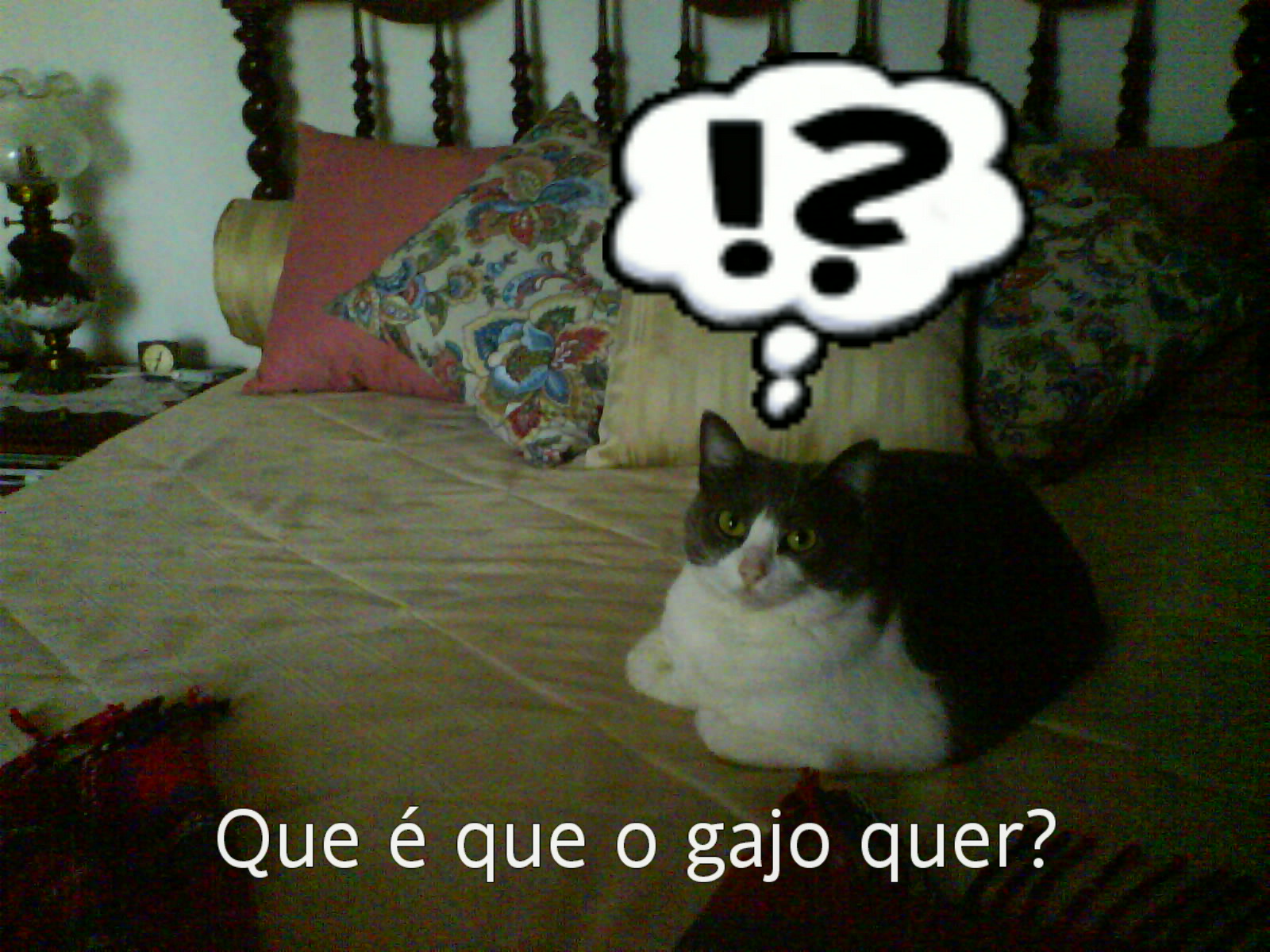 [Imagem+012.jpg]