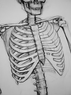 sketchkapp: Skeleton Drawings