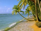 "My Paradise"