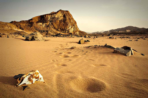 Desierto de Lawrence de Arabia