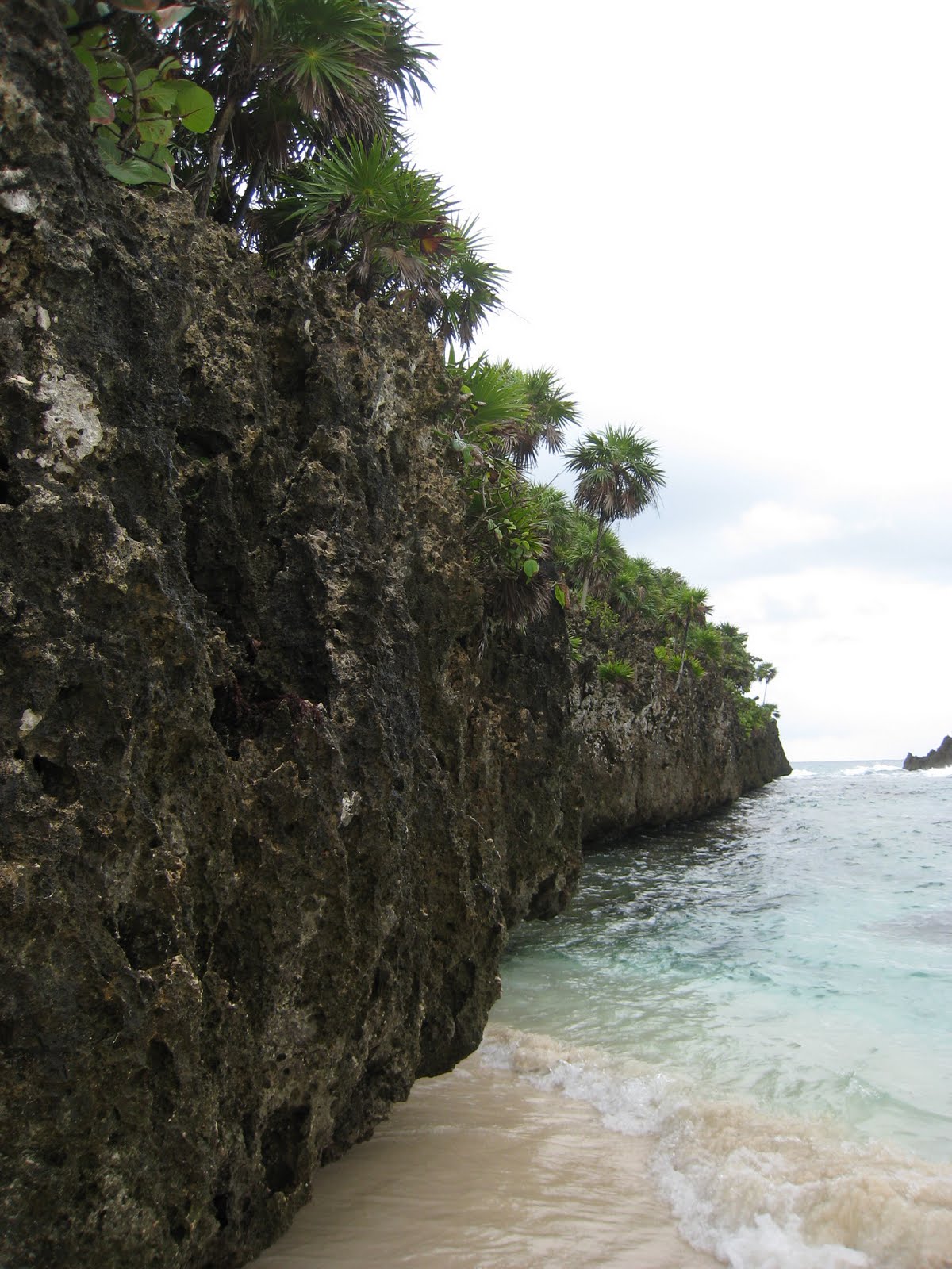 [January+2010+041.JPG]