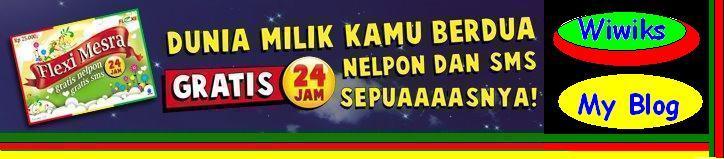 FLEXI MESRA