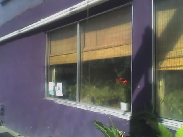 [05-29-08_0940.jpg]